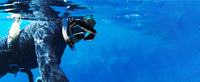 Thumbnail for SUBLUE Dive Mask + Snorkel Set