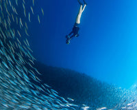Thumbnail for SUBLUE NABOW Underwater Scooter