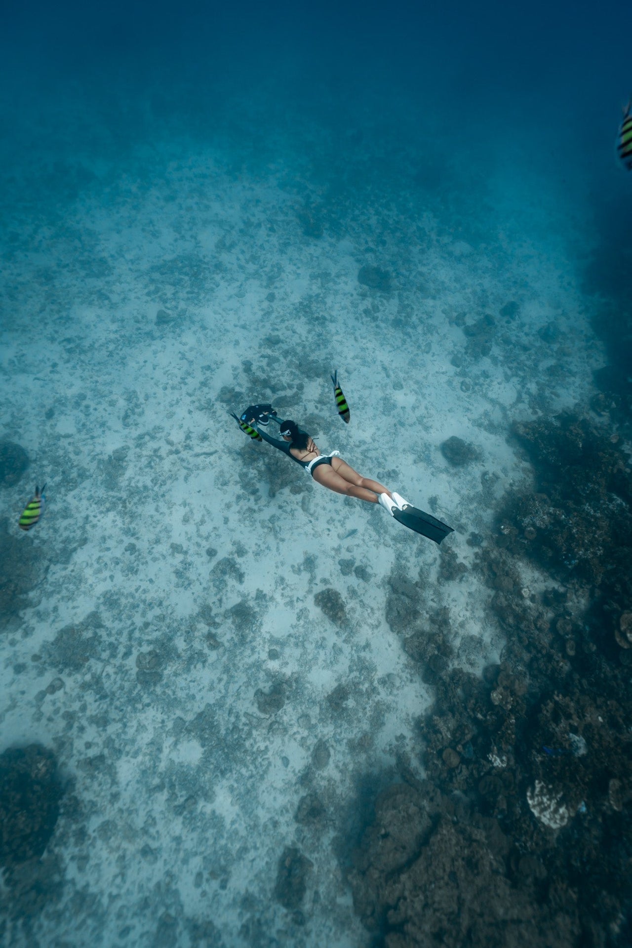 SUBLUE NABOW Underwater Scooter