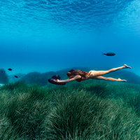 Thumbnail for SUBLUE VAPOR Underwater Scooter
